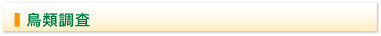 鳥類調査